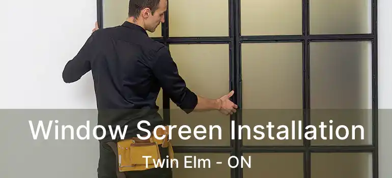  Window Screen Installation Twin Elm - ON