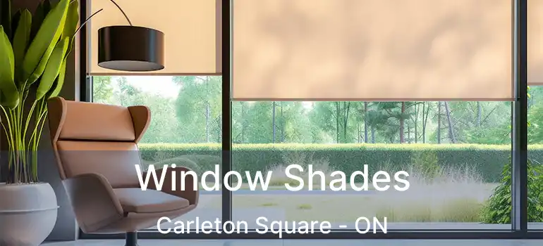  Window Shades Carleton Square - ON