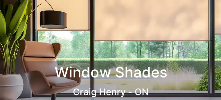  Window Shades Craig Henry - ON