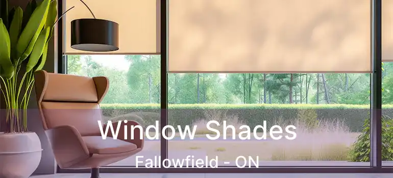  Window Shades Fallowfield - ON