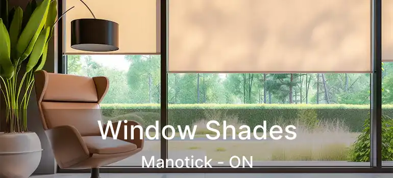  Window Shades Manotick - ON