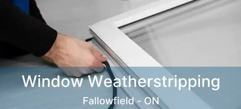  Window Weatherstripping Fallowfield - ON