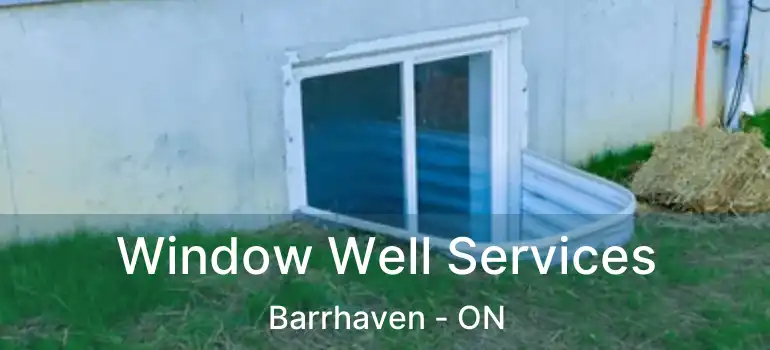  Window Well Services Barrhaven - ON