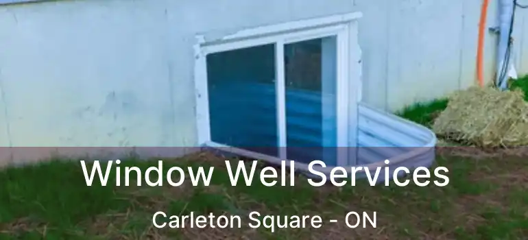  Window Well Services Carleton Square - ON