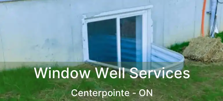  Window Well Services Centerpointe - ON