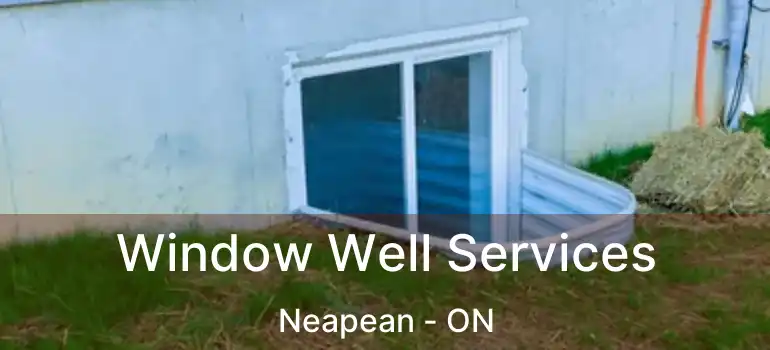 Window Well Services Neapean - ON